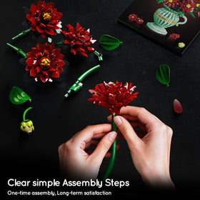PLAXSOON Gift-ready packaging ideal for special occasions.