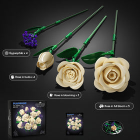 PLAXSOON Mother Day gift bouquet conveys warmth and lasting sentiment