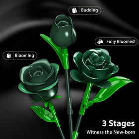 PLAXSOON warm LED lights illuminate the bouquet for cozy evenings.