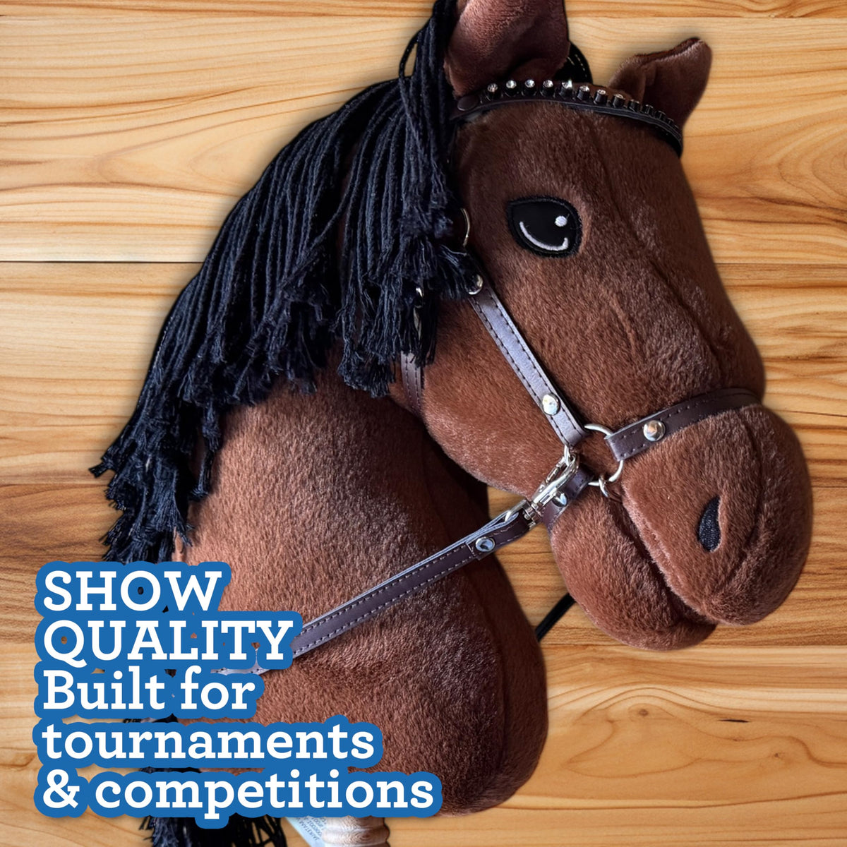 Playful Minds bay color offers classic equestrian appeal