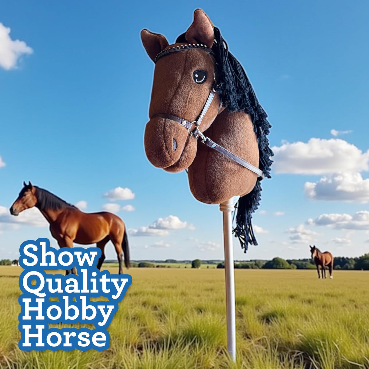Playful Minds removable reins enable quick display or casual play