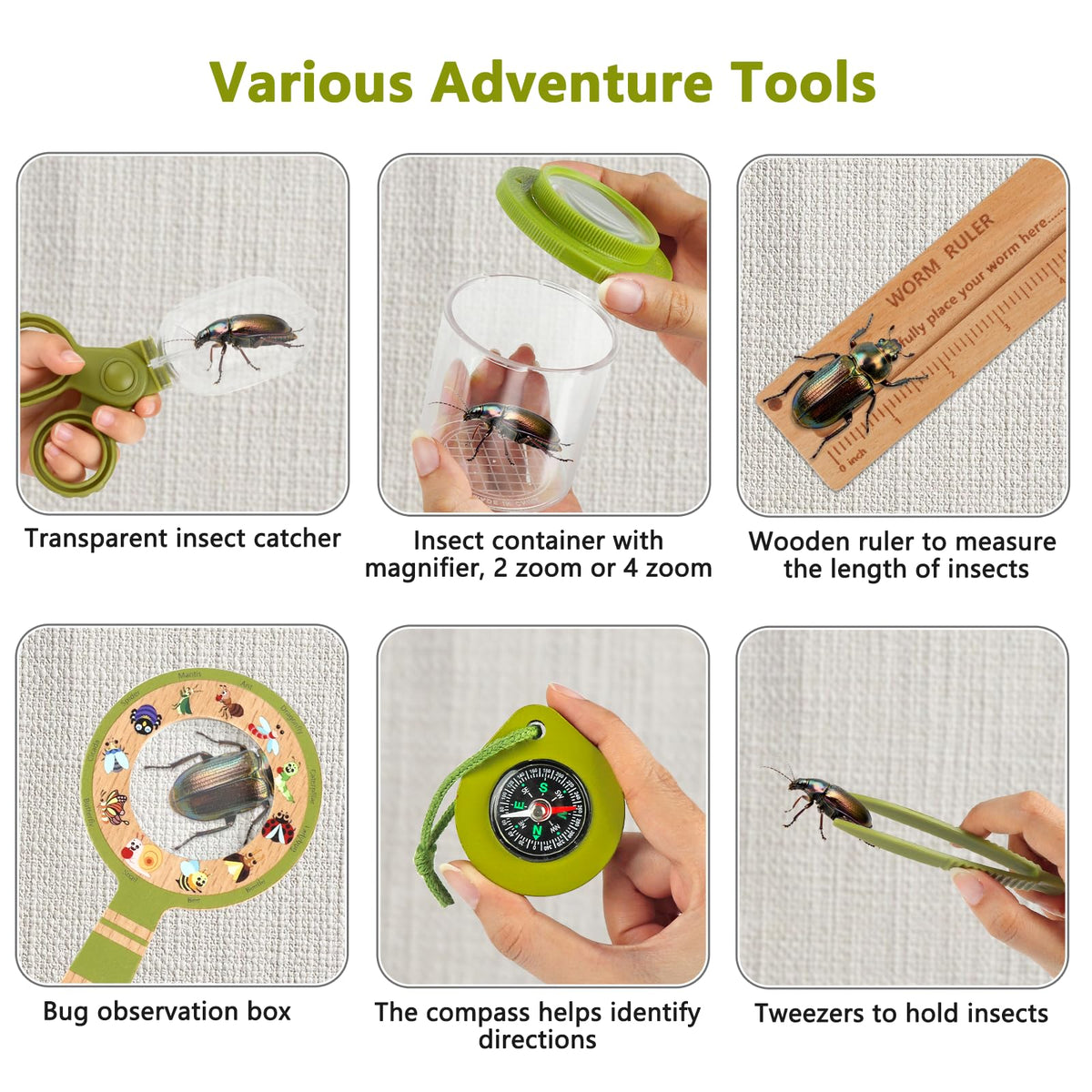 Plunack insect observation container for safe viewing