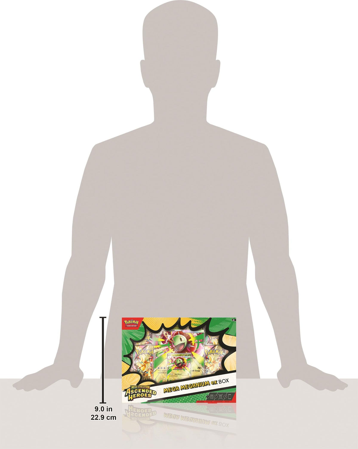 Pokémon Ascended Heroes box artwork and packaging for display