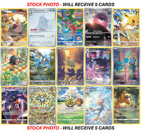 Pokémon Trainer Gallery illustration rare card 5 detailed character art for fans