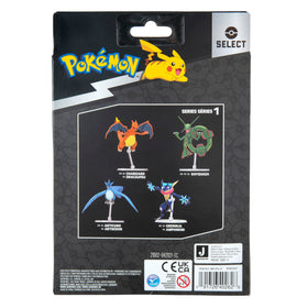 Pokemon Charizard with Articuno and Greninja from Wave 1 for a collectible display
