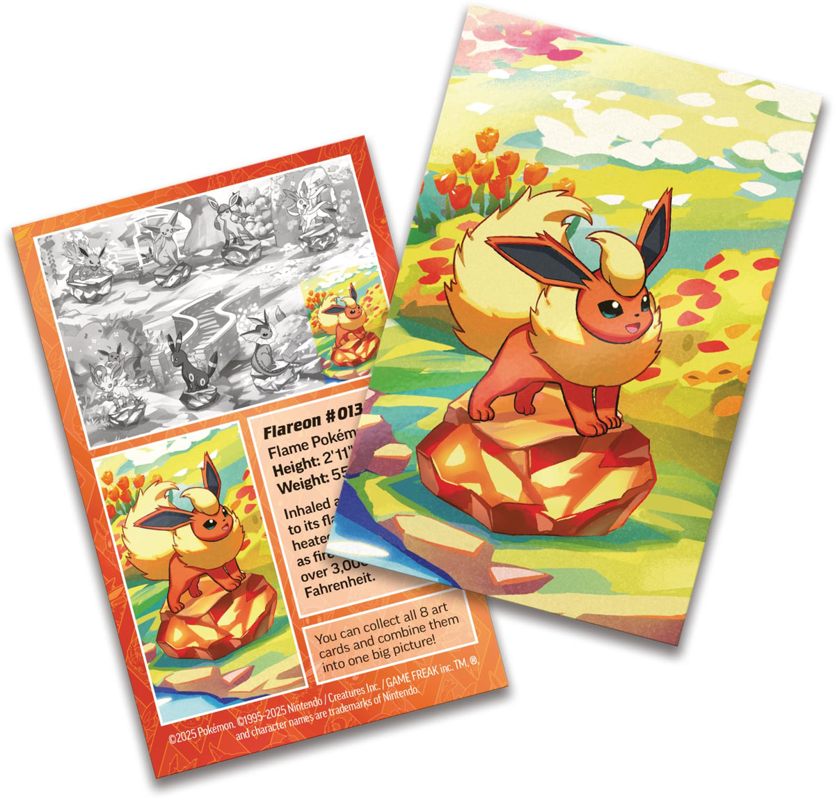 Pokémon Eevee coin in bright color adds collectible flair to the tin.