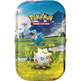 Pokemon Mega Evolution Ascended Heroes Mini Tin art card—collectible art from the set.