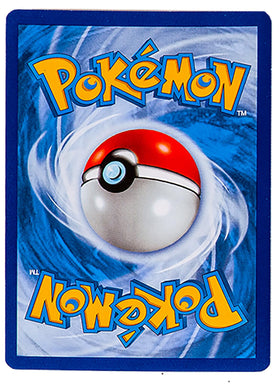 Pokemon TCG collection growth journey supports deck-building potential.