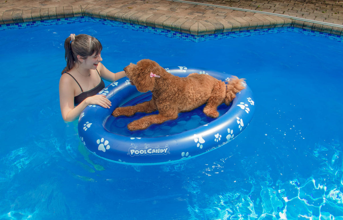 PoolCandy dog's float with cushioned inflatable floor for comfort