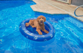 PoolCandy heavy-duty PVC construction resists punctures during play