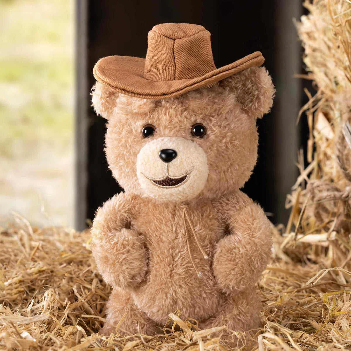 POP MART Ted2 non-toxic paint ensures safe play and vivid color.