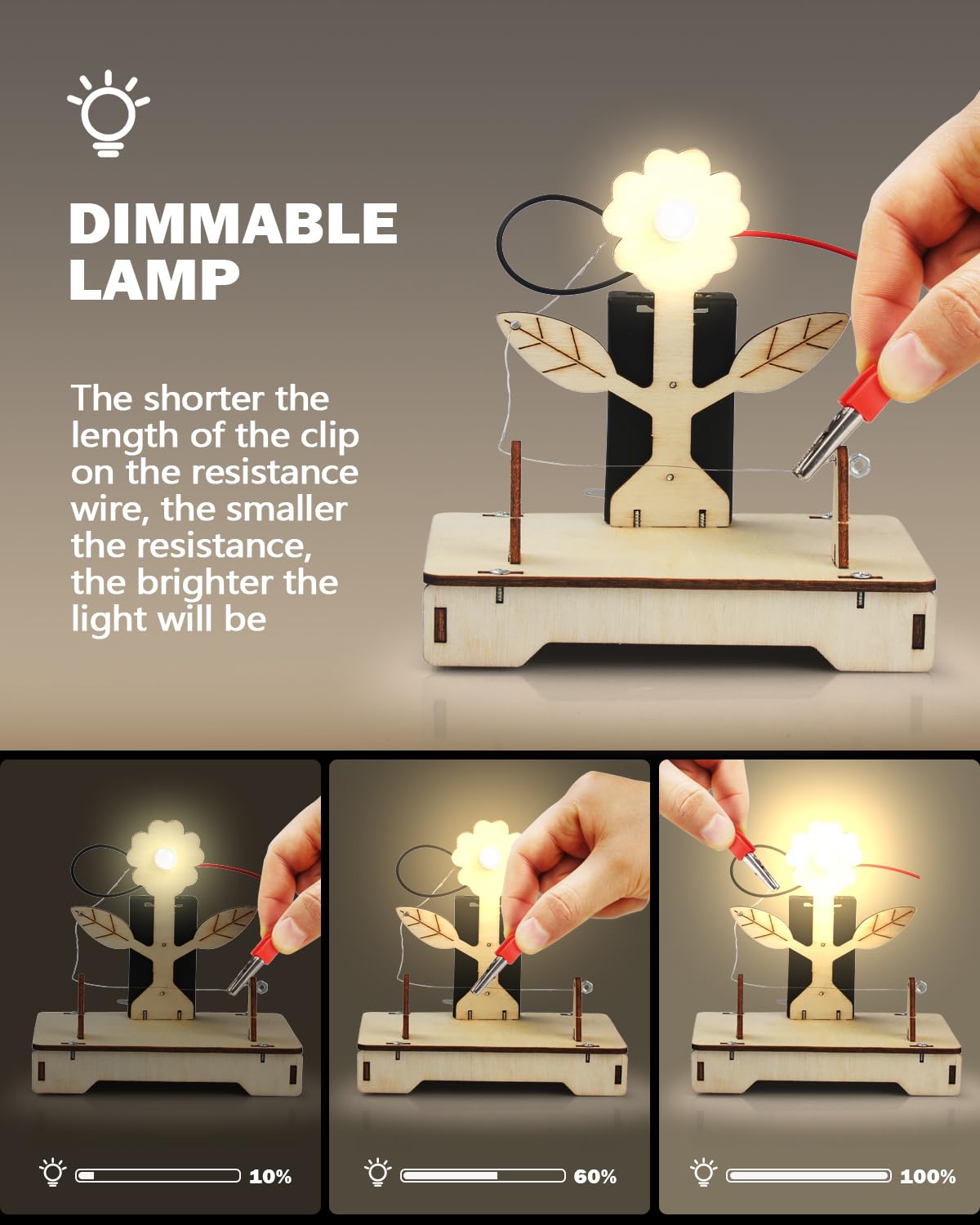 Poraxy desk-display ready models offer table-friendly, collectable project outcomes.