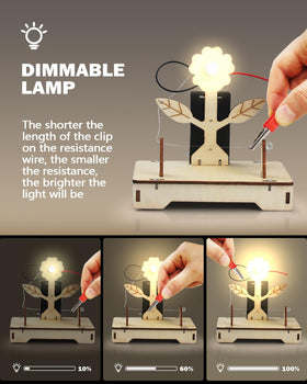 Poraxy desk-display ready models offer table-friendly, collectable project outcomes.
