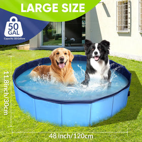 PUPTILY dog pool showing quick setup in yard or park