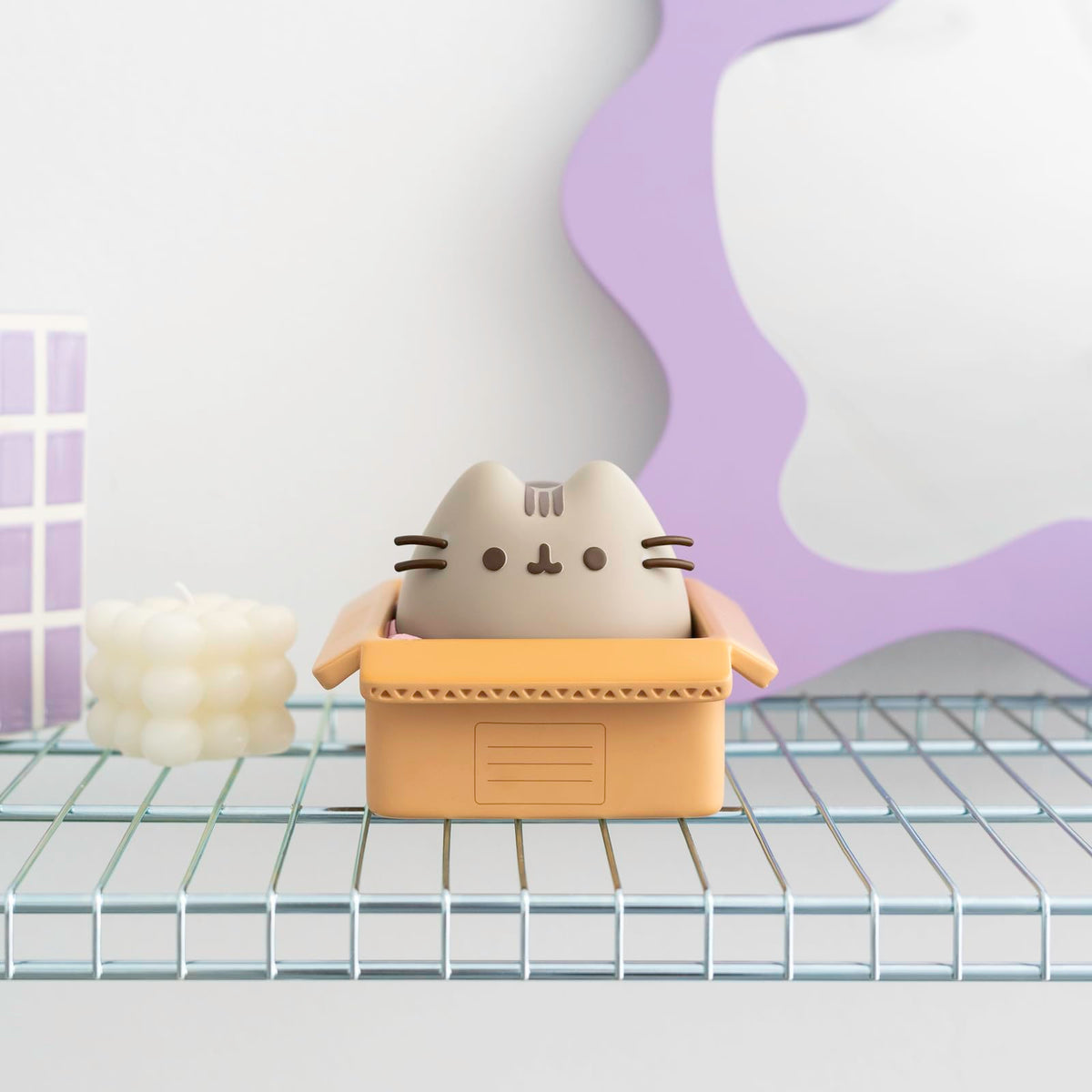 Gift-ready Pusheen piggy bank for birthdays or holidays