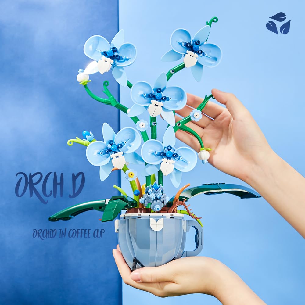 QFJ Ideas Blue Orchid gift-packaged presentation for occasions.