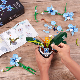 QFJ Ideas Blue Orchid room-display in a cozy living area.