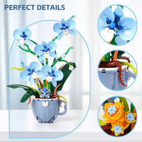 QFJ Ideas Blue Orchid petal-detail close-up shows natural textures.