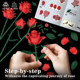 QIFUN roses shown in three growth stages for display