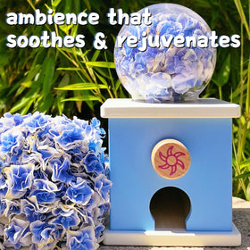 Small 0.8-inch balls designed for safe sorting play.