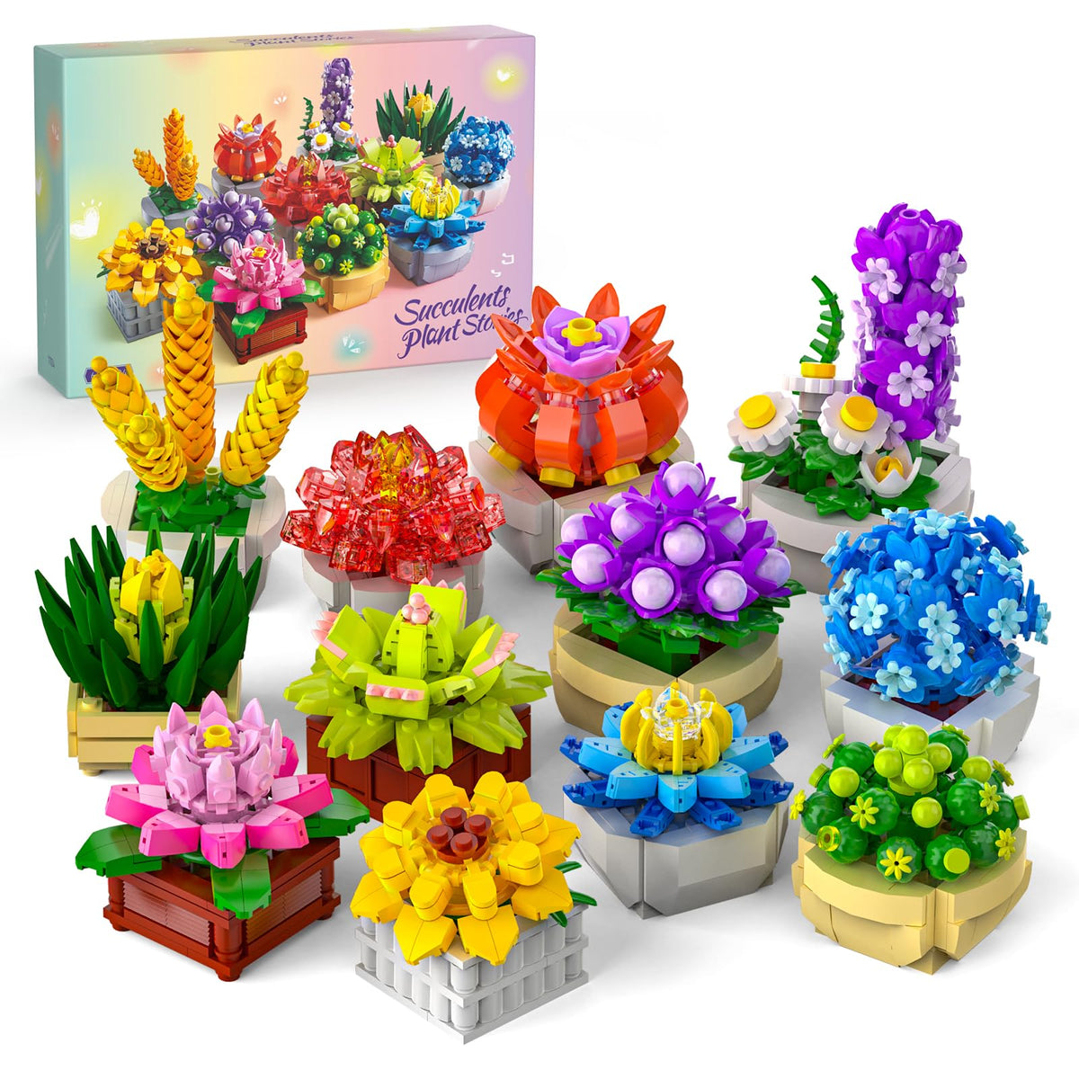 QiqoPoyee 12-succulents build set on a desk for calm, creative display
