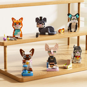 QLT QIAOLETONG cute cat breeds micro blocks for imaginative storytelling.
