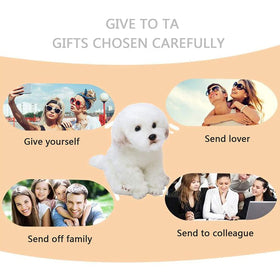 QREZAA 14-inch plush offers a comforting hug and playful companionship.
