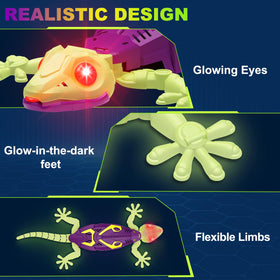 Qrooper gecko floor race mode for fast, engaging play on smooth surfaces.