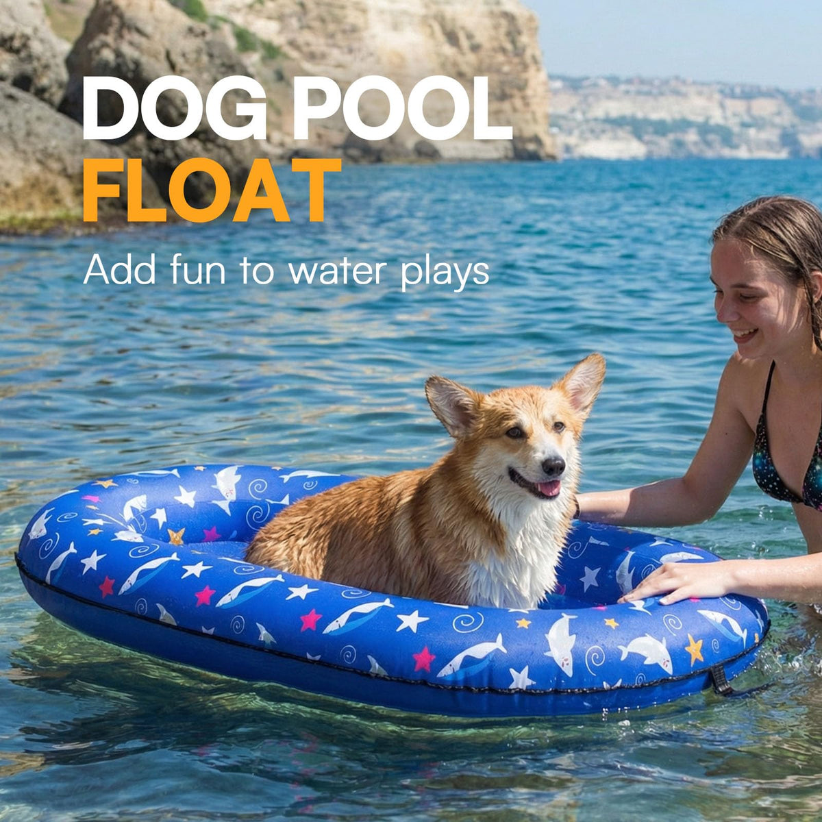 Queenmore blue dog pool float in use by the pool.