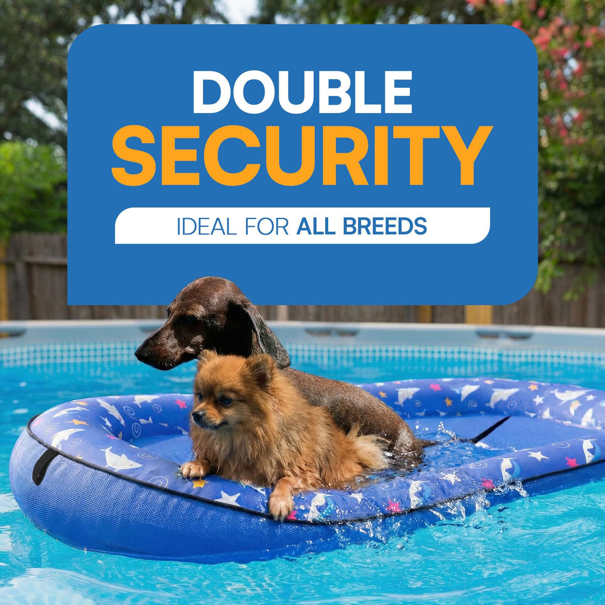 Queenmore durable water float with large capacity for big dogs.