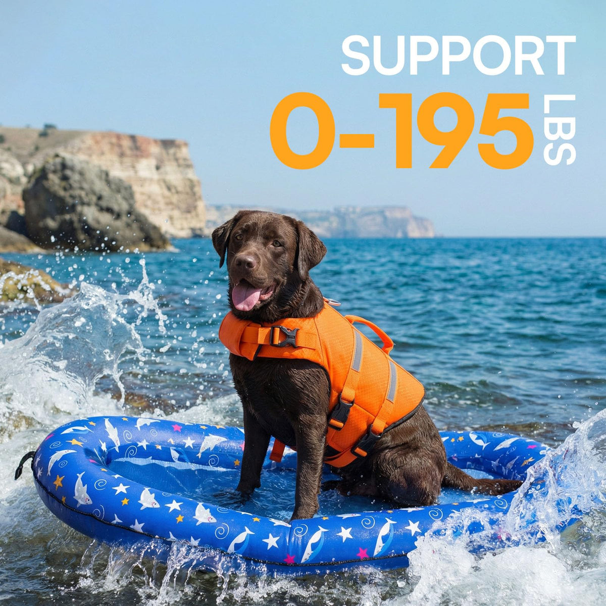 Queenmore large-dog float supports up to 195 lbs for big breeds.