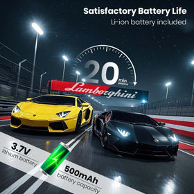 QUN FENG LP-700 2.4GHz remote for multi-car racing.