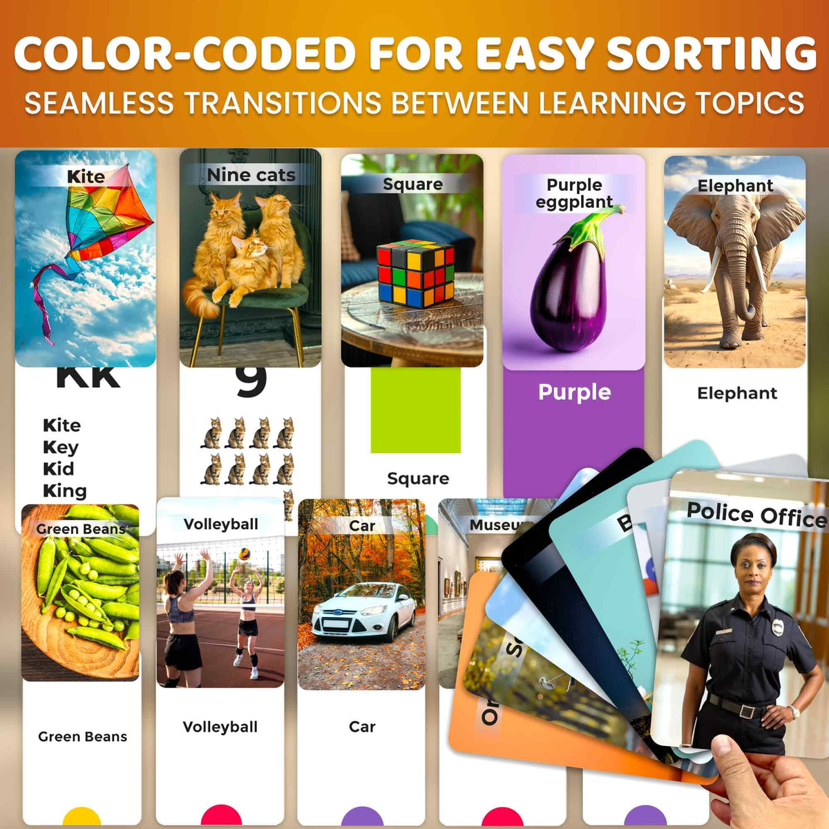 QUOKKA 260 flash cards colors to enhance color matching skills.