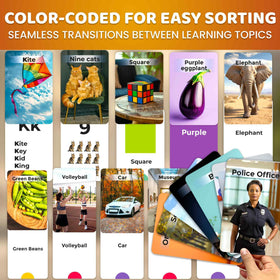 QUOKKA 260 flash cards colors to enhance color matching skills.