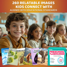 QUOKKA 260 flash cards color-coded categories to simplify sorting.