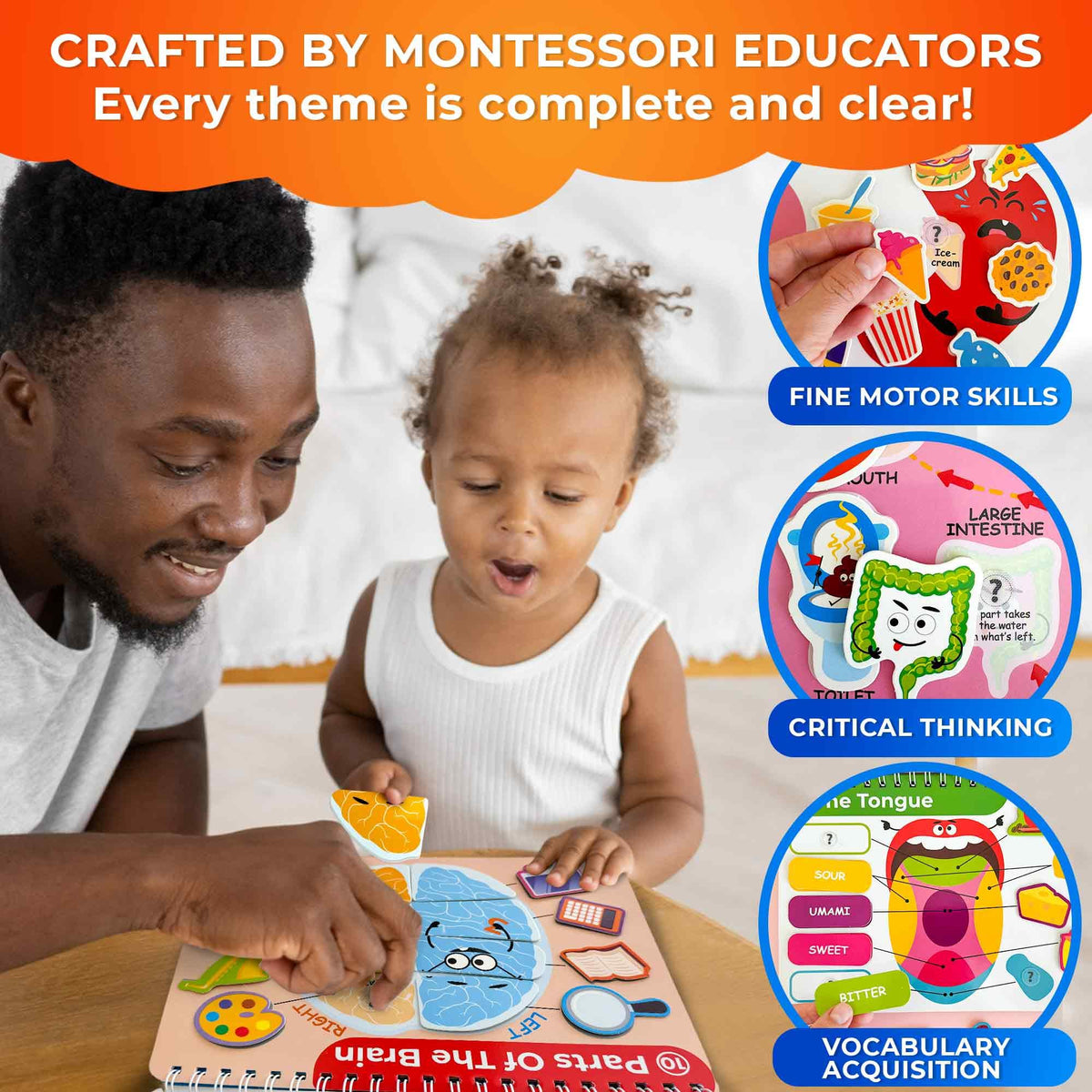 QUOKKA bones and muscles illustration supports fine motor skills through practice.