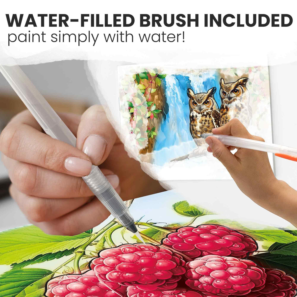 QUOKKA brush included makes water-based painting simple and mess-free for seniors.