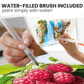 QUOKKA brush included makes water-based painting simple and mess-free for seniors.