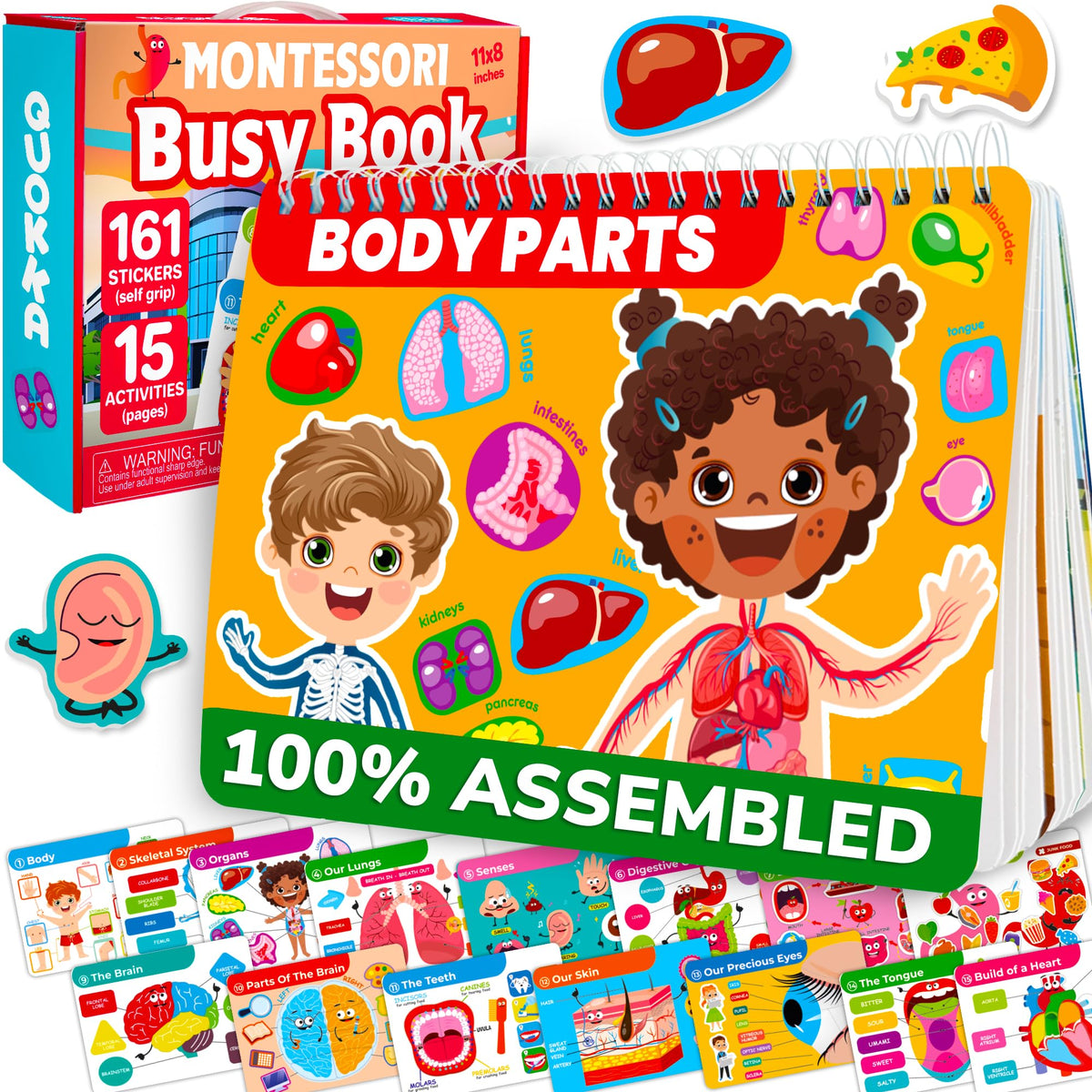 QUOKKA Human Body Busy Book cover page highlights bright anatomy learning for kids.