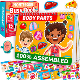 QUOKKA Human Body Busy Book cover page highlights bright anatomy learning for kids.