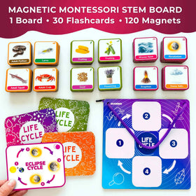 QUOKKA Life CycleToys animals cards in play mode for hands-on exploration