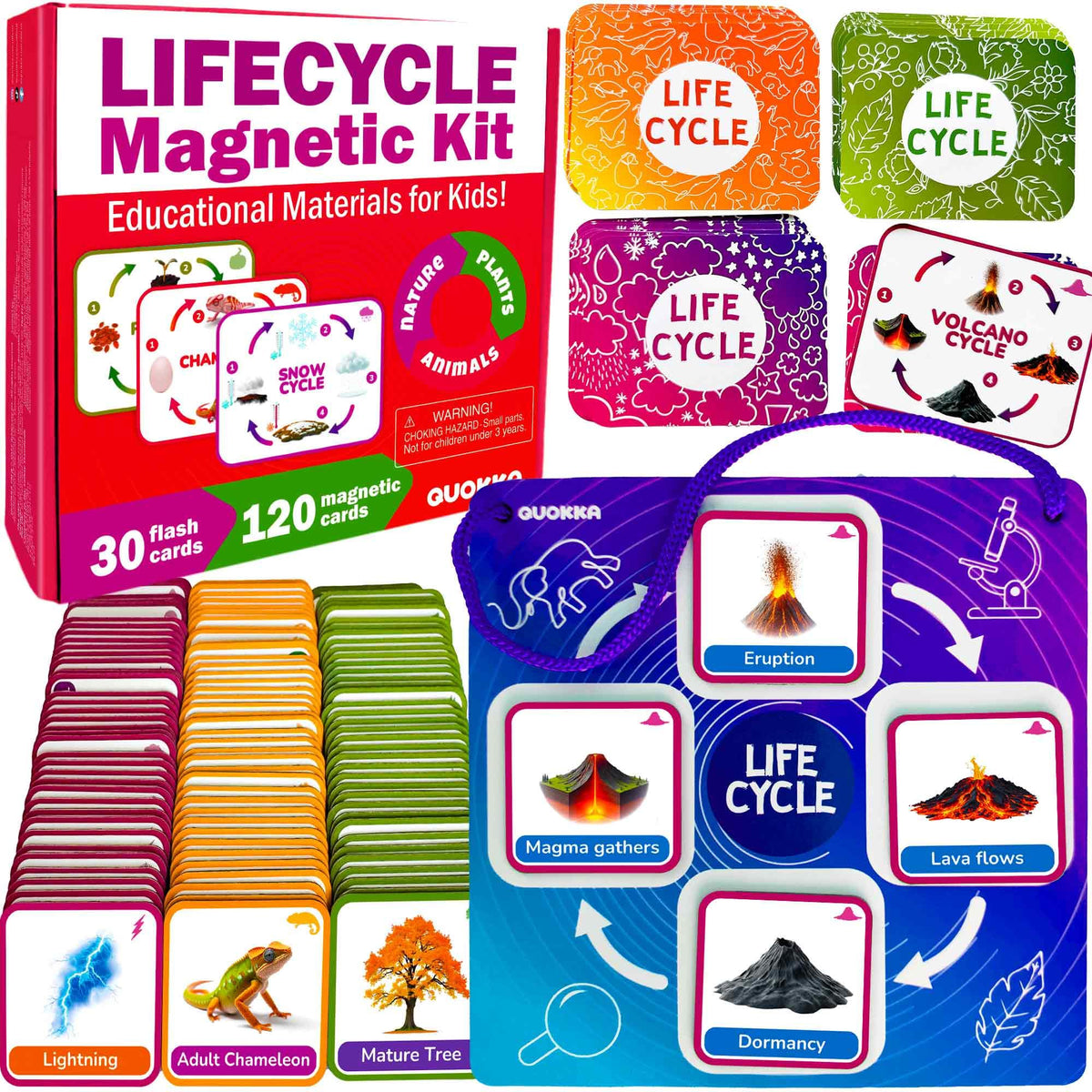 QUOKKA Life CycleToys animal cards set for interactive learning games