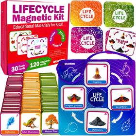 QUOKKA Life CycleToys animal cards set for interactive learning games
