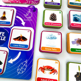 QUOKKA Life CycleToys magnets on board enable hands-on sorting