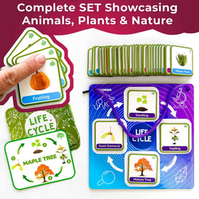 QUOKKA Life CycleToys nature events cards highlight seasonal changes
