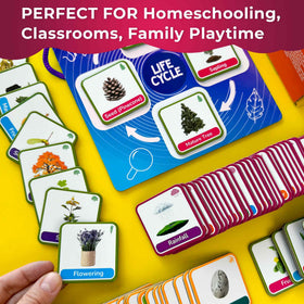 QUOKKA Life CycleToys nature events cards set for life cycle lessons