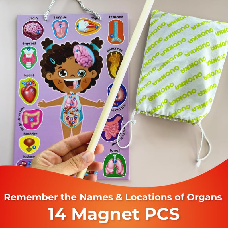 QUOKKA magnetic puzzle board enables interactive learning with magnets