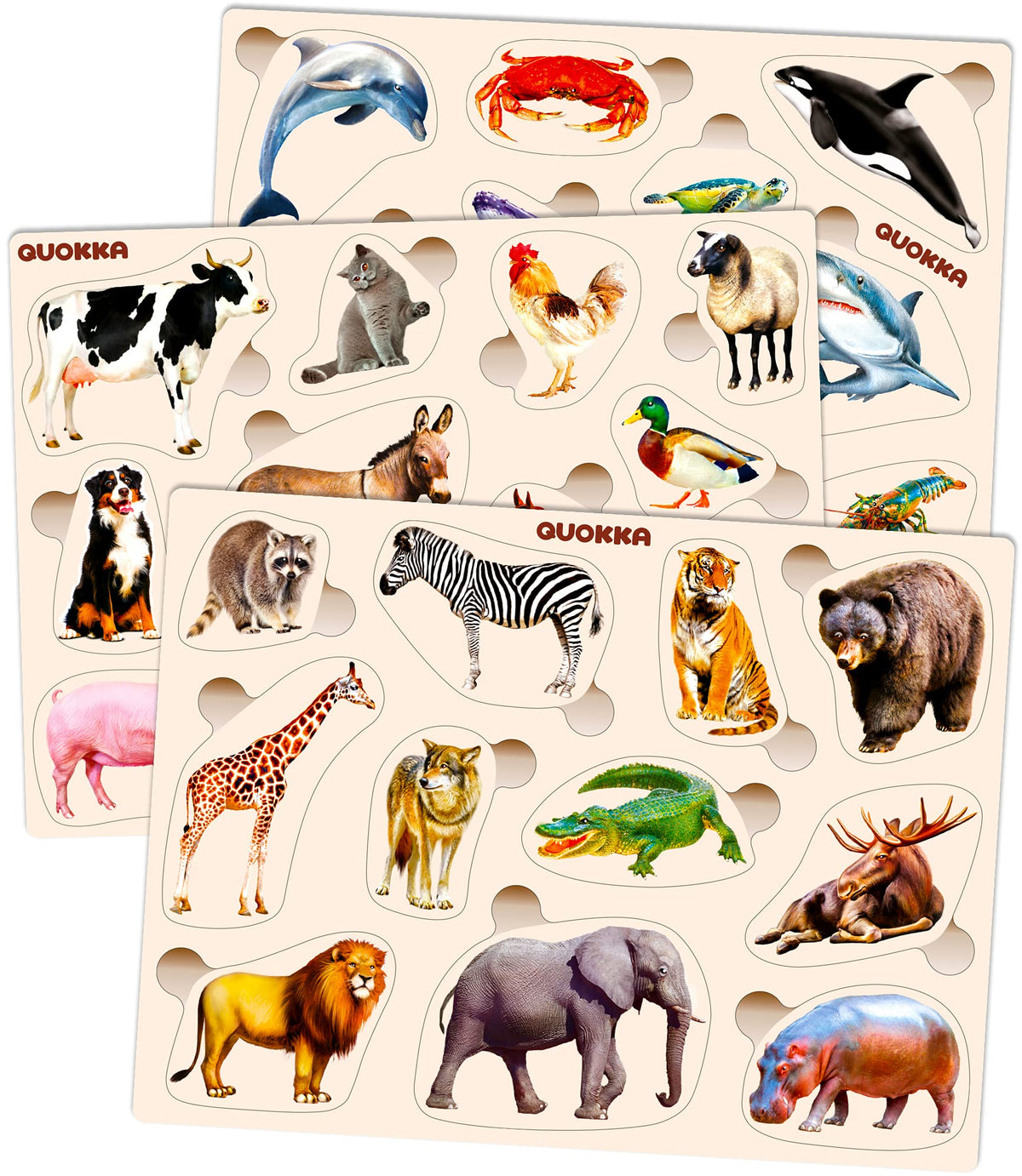 QUOKKA fox puzzle for toddlers enhances fine motor skills and color recognition.