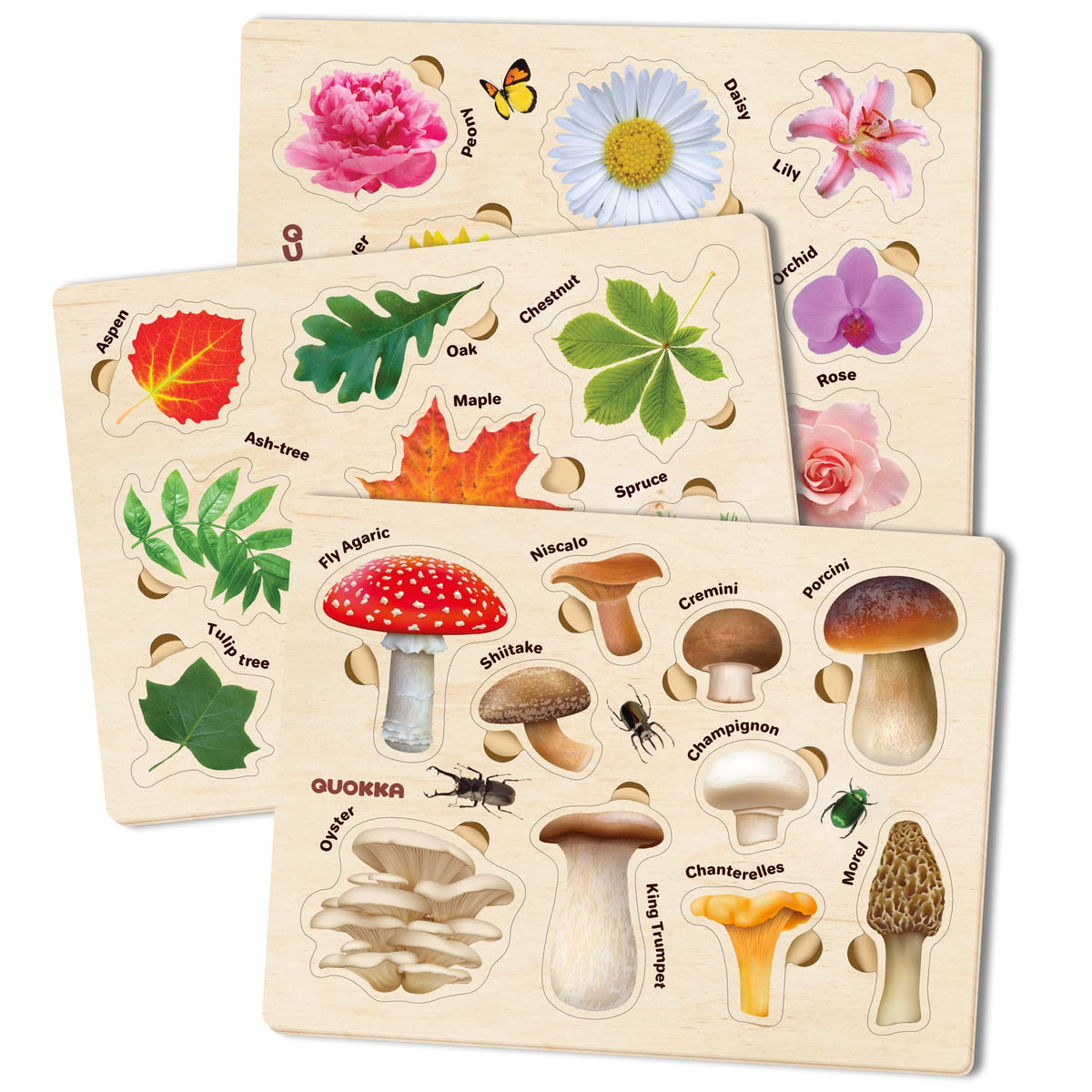 QUOKKA wooden puzzle mushrooms aids toddler fine motor development and shape matching.