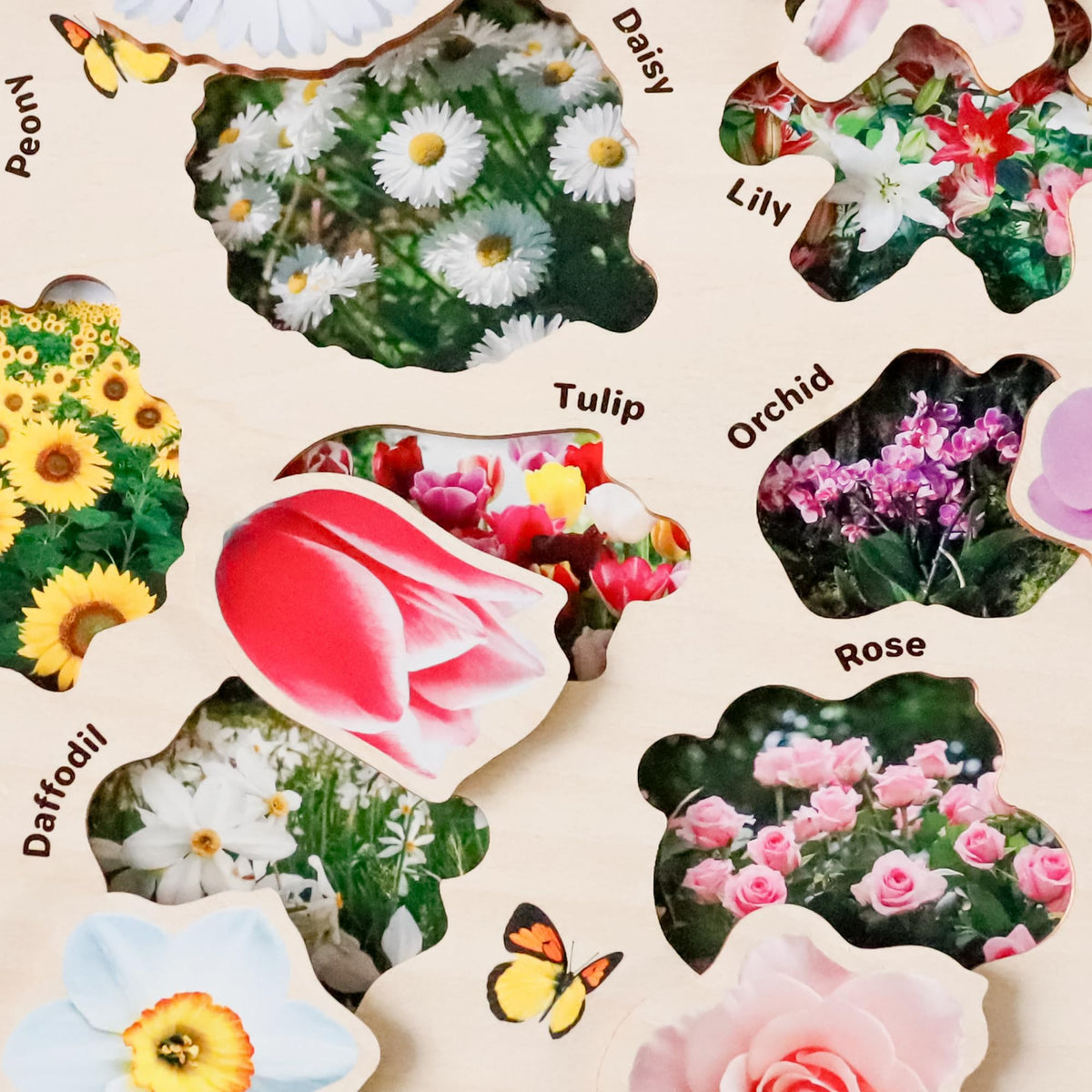 QUOKKA color printed wood puzzle for preschoolers and beginners.